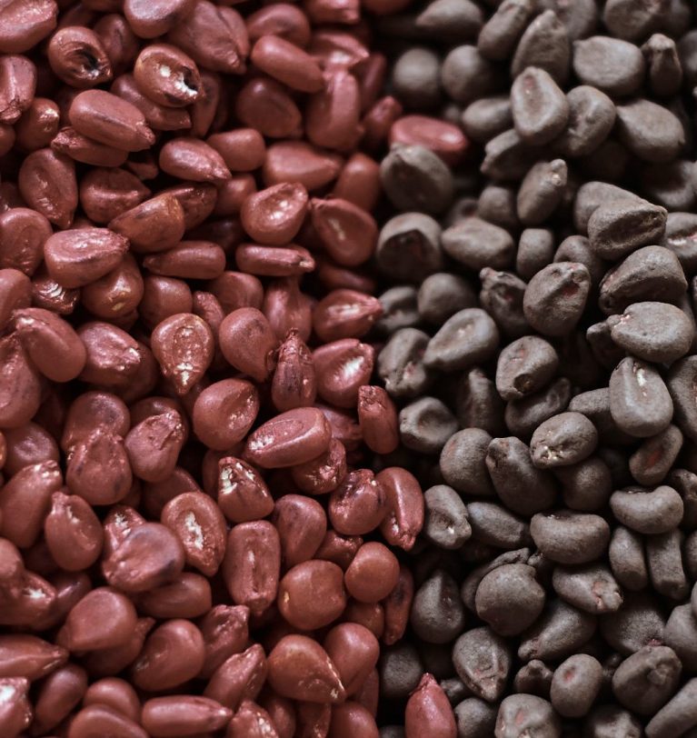 Symborg seed biotechnology will be present at the Euroseed Congress in Stockholm