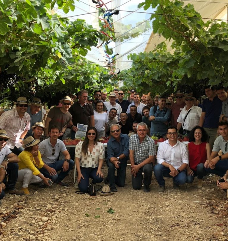 Productores de uva de mesa de 5 países visitan Murcia para conocer las variedades de ITUM