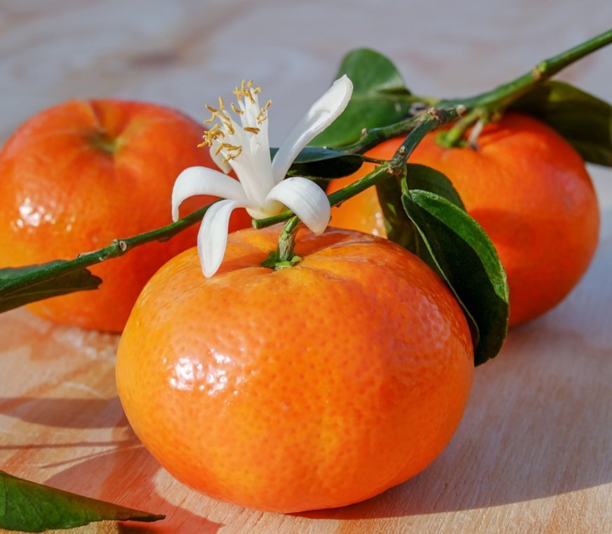 Vitasoil-naranja.jpg