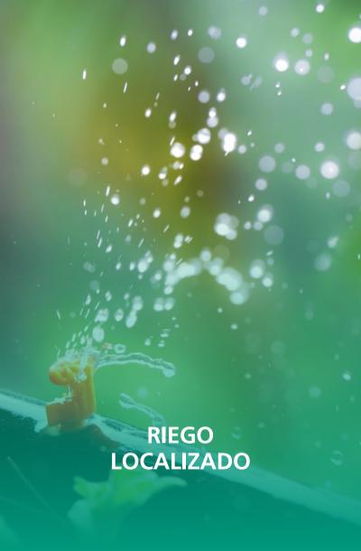 riego-localizado.png