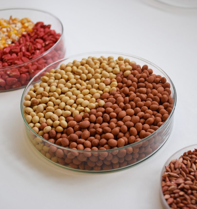 Symborg participe à la CSS & Seed Expo 2019 à Chicago