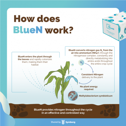 USA-INFO-BLU-ACTIONS-D-01.png