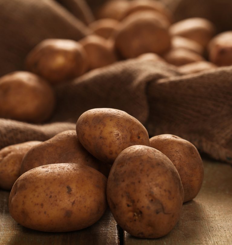 Revolutionize your potato crops with microorganism biotechnology