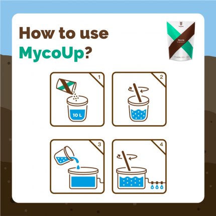 ENG-INFO-MU-WEB_USE-D-01.png