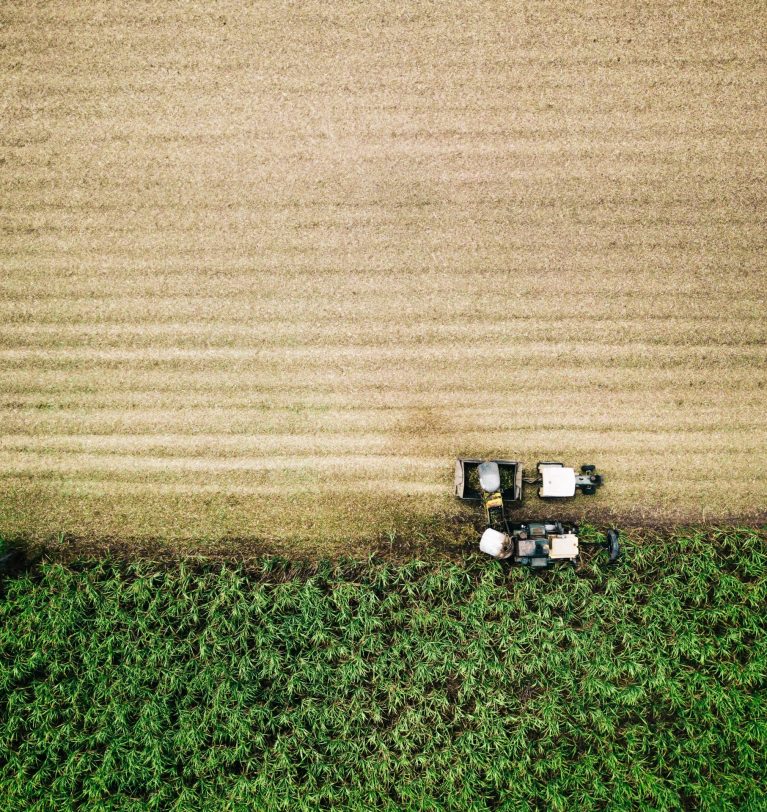 6 claves de la revolución biotecnológica en agricultura