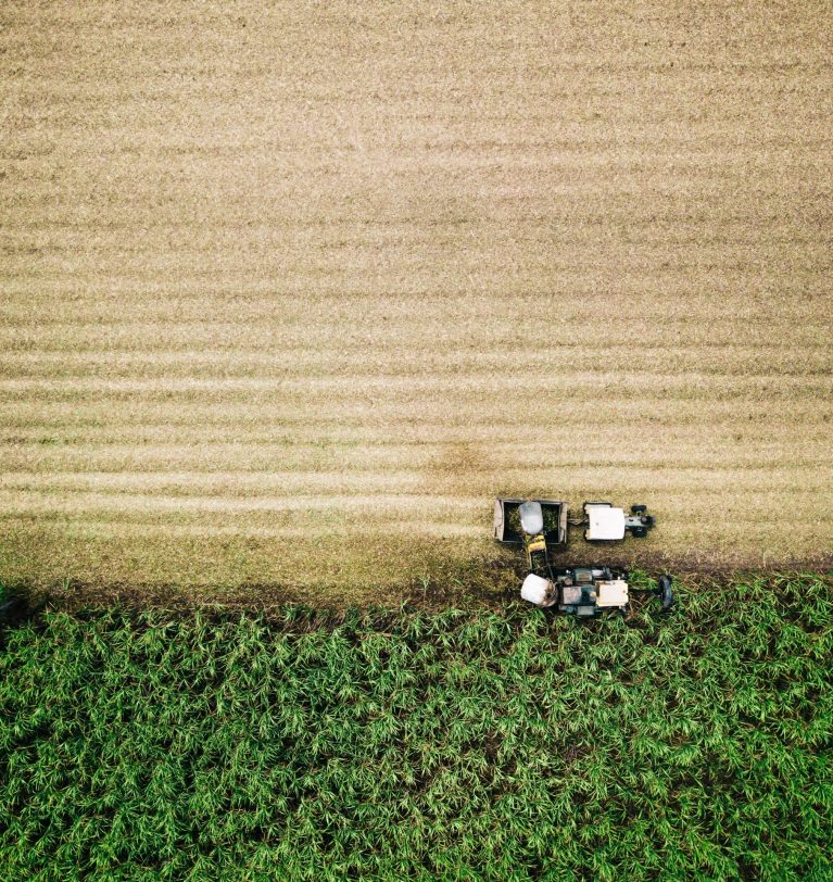 6 aspectos fundamentais da revolução biotecnológica na agricultura