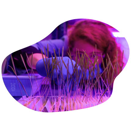 Rocio-Torres-2.png