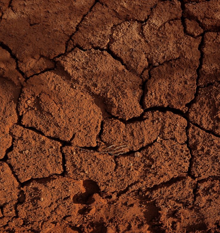 How to regenerate poor soils?