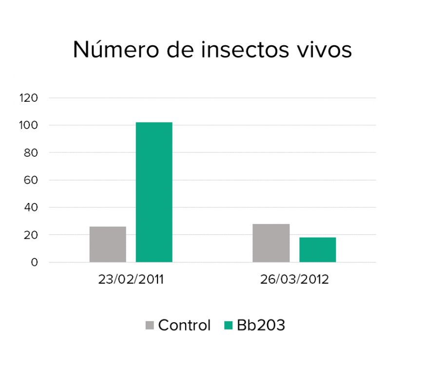 Grafica-ensayo-Beauveria-4.png