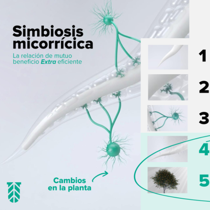 Como-funciona-MycoUp-ES-vertical.png