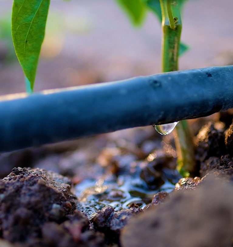 Comment tirer parti chaque goutte d’eau pour obtenir des cultures plus efficaces