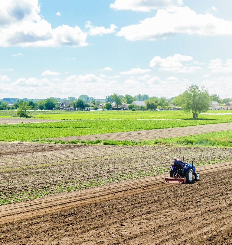 Comment relever les défis actuels de l’agriculture ?